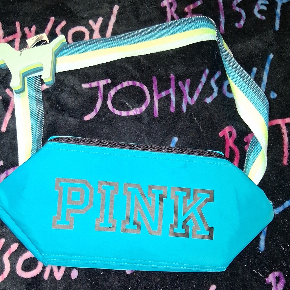 PINK Teal  Fanny Pack
